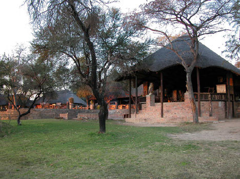 zimbaw16