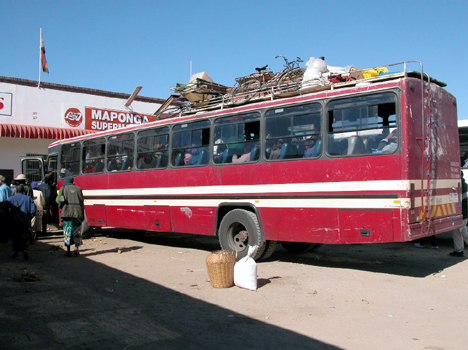 zimbaw81
