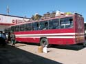 zimbaw81