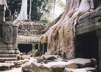 Camb08_35