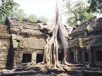 Camb09_4