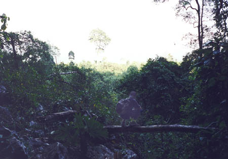 Laos14_23
