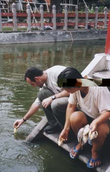 Thai3_34