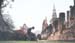 Thai7_5
