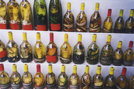 Viet11_12