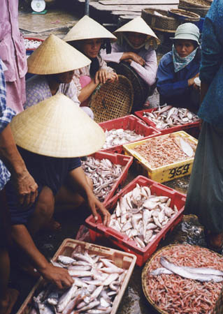 Viet12_16