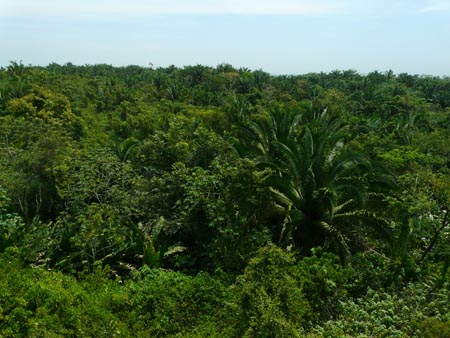 belice12