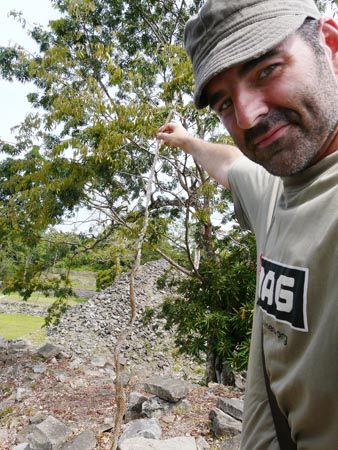 belice14
