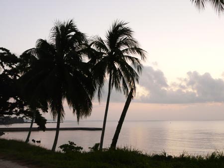 belice19