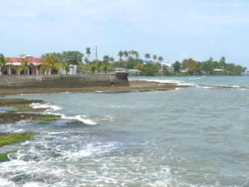 P1000191
