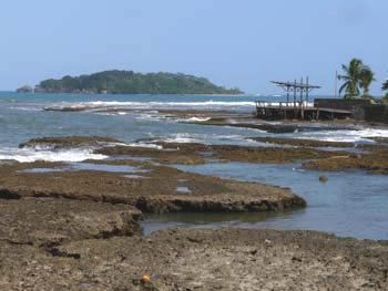 P1000198