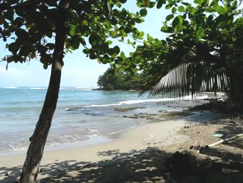 P1000202
