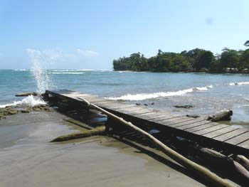 P1000207