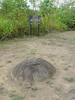 P1000294