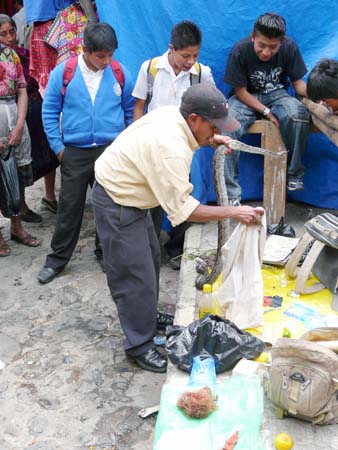 guatemala23
