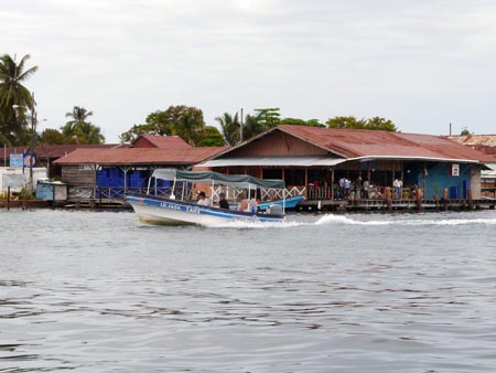 P1000224