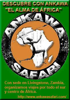 Cartel